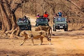 gir-national-park-img
